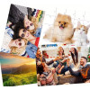 Puzzle 20 pièces personnalisable par sublimation – Photo et souvenir en couleur